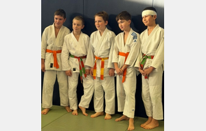 TOURNOI INTERDEPARTEMENTAL CORREZE CREUSE ET HAUTE-VIENNE BENJAMINS