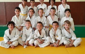 6836eada3cc73_minipoussins.jpg